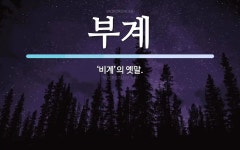 부계 뜻: ‘비계’의 옛말.