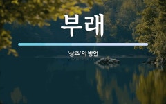 부래 뜻: ‘상추’의 방언