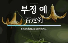 부정 예 뜻: 학습하게 될 개념에 대한 반대 사례.