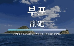 부포 뜻·의미 | 국어 사전 | 워드로