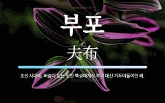 부포 뜻·의미 | 국어 사전 | 워드로