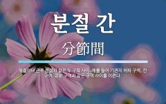 분절 간 뜻: 체절이나 근육 분절과 같은 두 구획 사이. 예를 들어 기관지 허파 구역, 간 구역, 콩팥 분절 간 뜻: 체절이나 근육 분절과 같은 두 구획... 