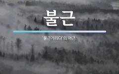 불근 뜻: ‘불근거리다’의 어근.
