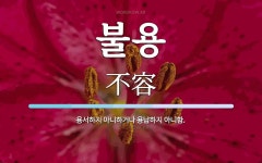 불용 뜻: 용서하지 아니하거나 용납하지 아니함.