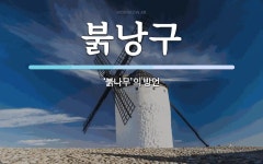 붉낭구 뜻: ‘붉나무’의 방언