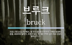 브루크 뜻: 크로스 핏(cross fit)에서, 세 가지 운동을 반복하여 기록을 측정하는 운동. 400