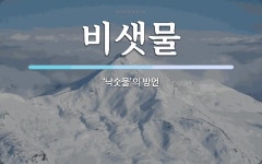 비샛물 뜻: ‘낙숫물’의 방언