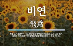 비연 뜻: 정월 초하룻날부터 대보름날에 걸쳐 연을 띄워 보냄. 또는 그런 풍속. 그해의 재앙으로 인한