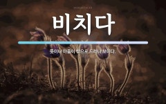 비치다 뜻: 뜻이나 마음이 밖으로 드러나 보이다.