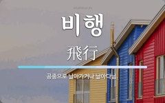 비행 뜻: 공중으로 날아가거나 날아다님.