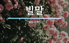 빌말 뜻: ‘별말’의 방언