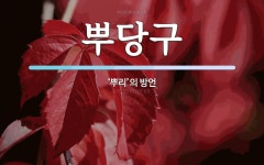 뿌당구 뜻: ‘뿌리’의 방언