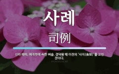 사례 뜻: 신라 때에, 예작부에 속한 벼슬. 경덕왕 때 이전의 ‘사지(舍知)’를 고친 것이다.