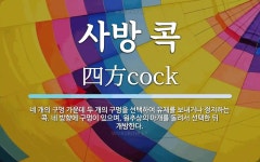 사방 콕 뜻: 네 개의 구멍 가운데 두 개의 구멍을 선택하여 유체를 보내거나 정지하는 콕. 네 방향에 구