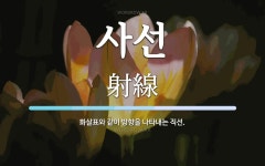 사선 뜻: 화살표와 같이 방향을 나타내는 직선.