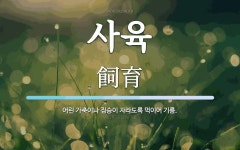 사육 뜻: 어린 가축이나 짐승이 자라도록 먹이어 기름.