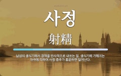 사정 뜻: 남성의 생식기에서 정액을 반사적으로 내쏘는 일. 생식기에 가해지는 자극에 의하여 사정 중추
