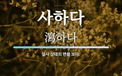 사하다 뜻: 설사 상태의 변을 보다.