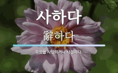 사하다 뜻: 무엇을 사양하거나 사절하다.