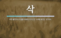 삭 뜻: 어떤 물건이나 시설을 이용하고 주는 돈. ⇒규범 표기는 ‘삯’이다.
