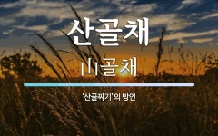 산골채 뜻: ‘산골짜기’의 방언