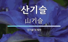 산기슬 뜻: ‘산기슭’의 방언