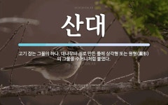 산대 뜻: 고기 잡는 그물의 하나. 대나무나 쇠로 만든 틀에 삼각형 또는 원형(圓形)의 그물을 주머니