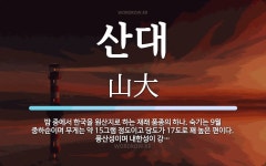 산대 뜻: 밤 중에서 한국을 원산지로 하는 재래 품종의 하나. 숙기는 9월 중하순이며 무게는 약 15