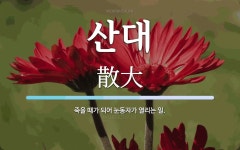 산대 뜻: 죽을 때가 되어 눈동자가 열리는 일.