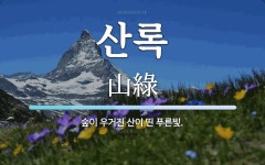 산록 뜻: 숲이 우거진 산이 띤 푸른빛.
