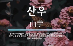 산우 뜻: 맛과의 여러해살이 덩굴풀. 높이는 1미터 정도이며, 잎은 마주나거나 어긋나고 달걀 모양의 산우 뜻... 