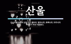 산울 뜻: 산 나무를 촘촘히 심어 만든 울타리. 탱자나무, 측백나무, 아카시아 따위가 주로 이용된다.