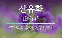 산유화 뜻: 김소월이 지은 시. 산에 피고 지는 꽃을 소재로 하여 삶과... 근원적 산유화 뜻: 김소월이 지은 시. 산에 피고 지는 꽃을 소재로 하여... 