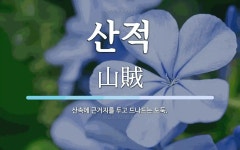 산적 뜻: 산속에 근거지를 두고 드나드는 도둑.