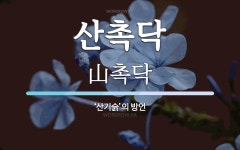 산촉닥 뜻: ‘산기슭’의 방언