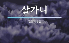 살가니 뜻: ‘살강’의 방언