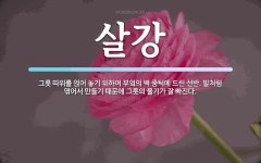 살강 뜻: 그릇 따위를 얹어 놓기 위하여 부엌의 벽 중턱에 드린 선반.... 발처럼 엮어서 만들기 때문에 살강 뜻: 그릇 따위를 얹어 놓기 위하여... 