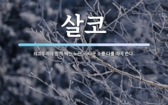 살코 뜻: 쇠코뚜레와 함께 꿰는 노끈. 사나운 소를 다룰 때에 쓴다.