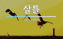 살틀 뜻: ‘트러스’의 북한어.