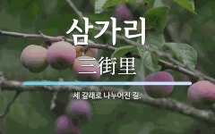 삼가리 뜻: 세 갈래로 나누어진 길.