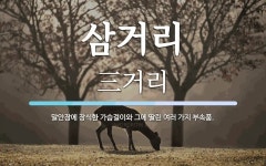 삼거리 뜻: 말안장에 장식한 가슴걸이와 그에 딸린 여러 가지 부속품.