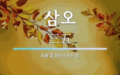 삼오 뜻: ‘보름’을 달리 이르는 말.