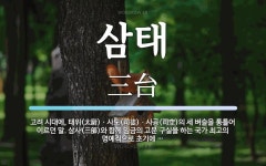 삼태 뜻: 고려 시대에, 태위(太尉)ㆍ사도(司徒)ㆍ사공(司空)의 세 벼슬을 통틀어 이르던 말. 삼사(