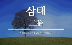 삼태 뜻: 한 태에서 세 아이를 낳음. 또는 그 아이들.