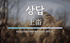 상답 뜻: 토양 조건과 물의 형편이 좋아서 농사가 잘되는 논.