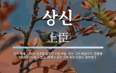 상신 뜻: 신라 때에, 나라의 정권을 맡았던 으뜸 벼슬. 또는 그런 벼슬아치. 법흥왕 18년(531)