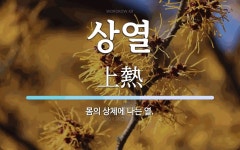 상열 뜻: 몸의 상체에 나는 열.