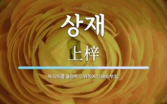 상재 뜻: 책 따위를 출판하기 위하여 인쇄에 부침.