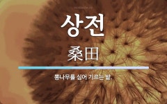 상전 뜻: 뽕나무를 심어 기르는 밭.