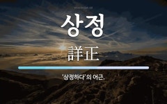 상정 뜻: ‘상정하다’의 어근.